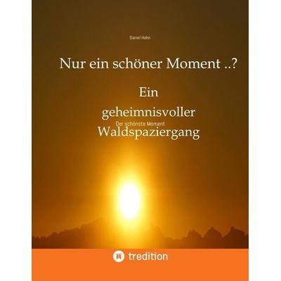 Nur ein schöner Moment ..?, Gebundene Ausgabe von Daniel Hahn, Tredition, 978-3-347-88333-8