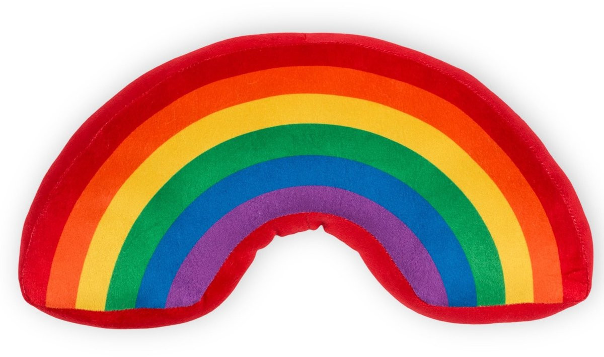 Dailygoods Sierkussen Regenboog - Kleurrijk Decoratiekussen - Polyester