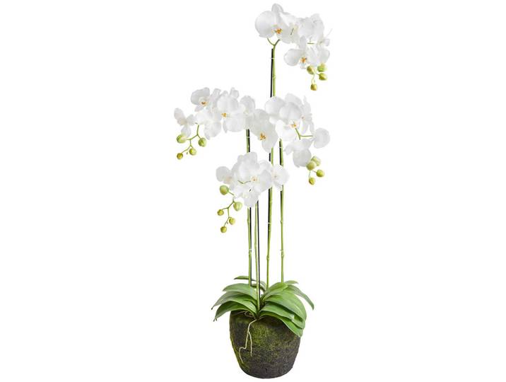 Orchidee, Weiss, Kunststoff, 100 cm, Dekoration, Blumen & Blumentöpfe, Kunstblumen