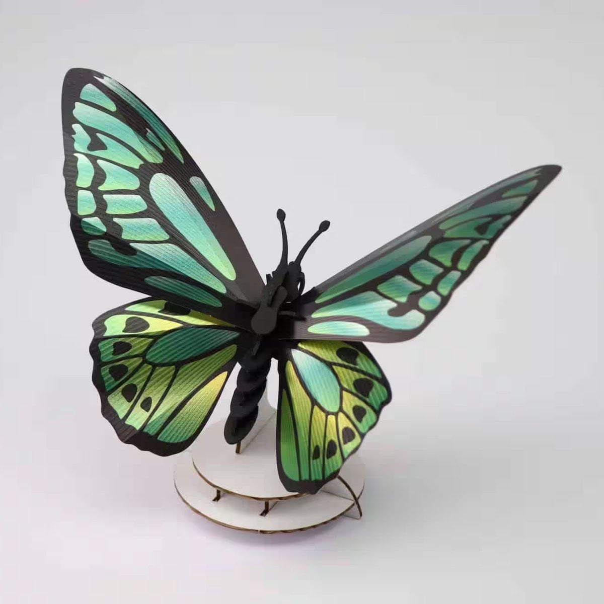 Assembli Green Birdwing Butterfly Decoratie voor op tafel