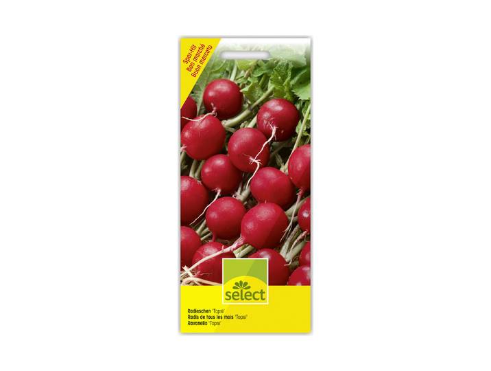 Select Radieschen Topsi