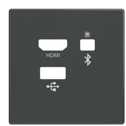 Busch-Jaeger 8256-81 Zent.Sch. Media Connector