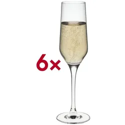 Rona Sektkelch Champagne flute 07 Image 220 ml /-/ 0,1 l 6 Stück beige, 25 cm
