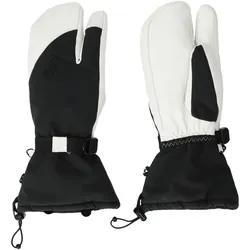 Whistler Balint 3-Finger Leder Skihandschuhe 1002 - white 10