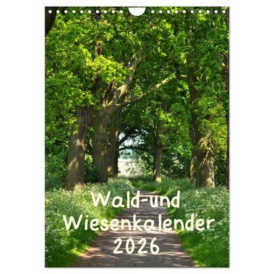 Wald- und Wiesenkalender 2026 Planer (Wandkalender 2026 DIN A4 hoch), CALVENDO Monatskalender