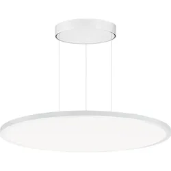 Performance in Light LED-Pendelleuchte 3124392