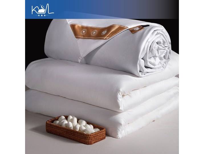 Couette 100% pure soie de mûrier, couverture légère rafraîchissante pour l'été, couette longue et moelleuse en soie pour toutes les saisons, pour la maison