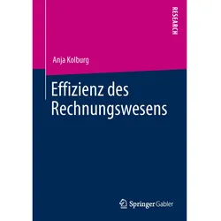 Effizienz des Rechnungswesens, Fachbücher von Anja Kolburg