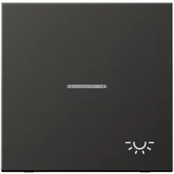 Jung Wippe Symbol LICHT anth AL 2990 KO5 L AN