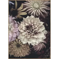Posterboard OPLULENT 5 (BH 50x70 cm) - bunt - BH 50x70 cm