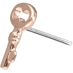 14 Karat Gold Aufsatz mit Titan Push Pin SCHLÜSSEL