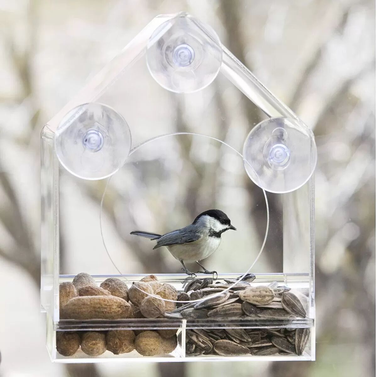 INF Transparente Dreieckige Vogelhaus-Futterstation mit Saugnapf – Fenster-Vogelkäfig