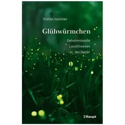 Glühwürmchen, Ratgeber von Stefan Ineichen