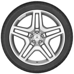 Mercedes-AMG M-GLE W166 GL-GLS X166 5-Doppelspeichen-Rad 21 Zoll A16640125027X25