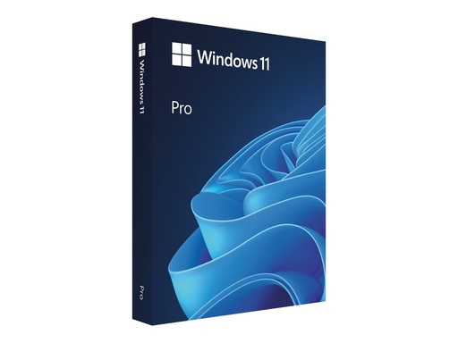 Microsoft Windows 11 Pro - Lizenz - 1 Lizenz - OEM - DVD (FQC-10552)