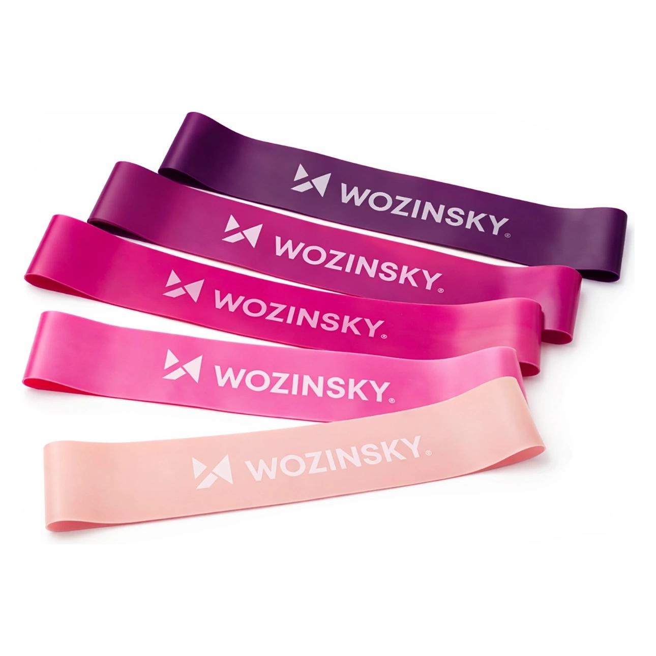 Wozinsky WGO-5A TPE Widerstandsbänder - 5 Stück. (0.60 m, Leicht, Mittel, Stark) (5907769384592)