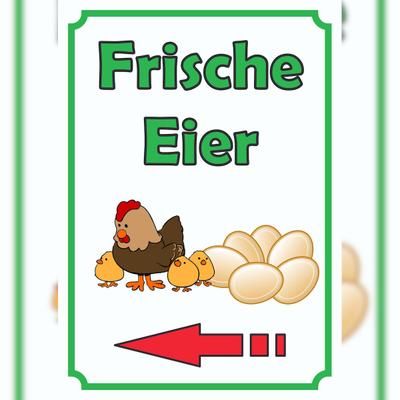 HB-Druck Verkaufsschild Schild Eier Hochkant mit Pfeil links A2 (420x594mm)