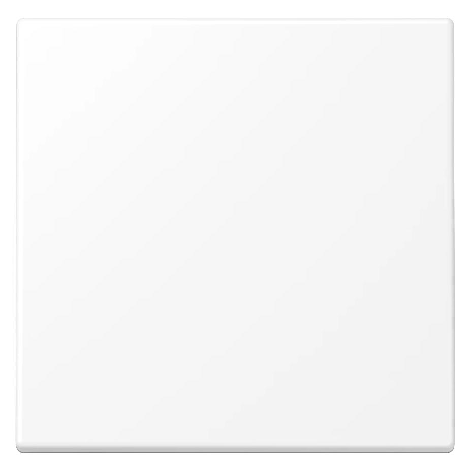 JUNG Bedienelement 1f ws LS m.Abd f.Dimmeins LS1700WWM (LS1700WWM)