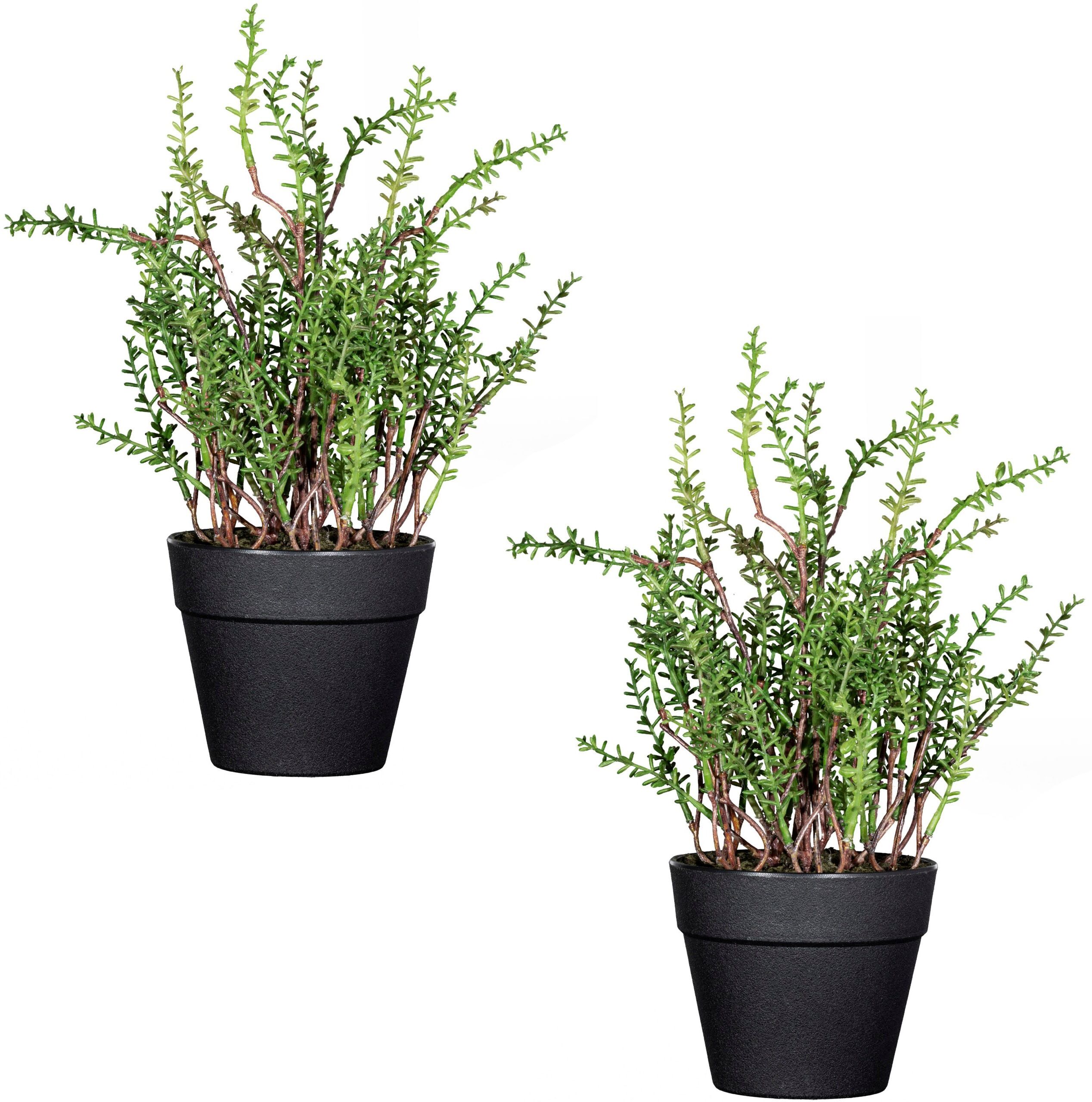 Kunstpflanze CREATIV GREEN "Zitronenthymian", grün, H:24cm, Kunststoff, Kunstpflanzen, Kunstpflanze, im 2er Set