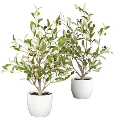 Nearly Natural Olive Silk Tree with Vase (Set of 2)