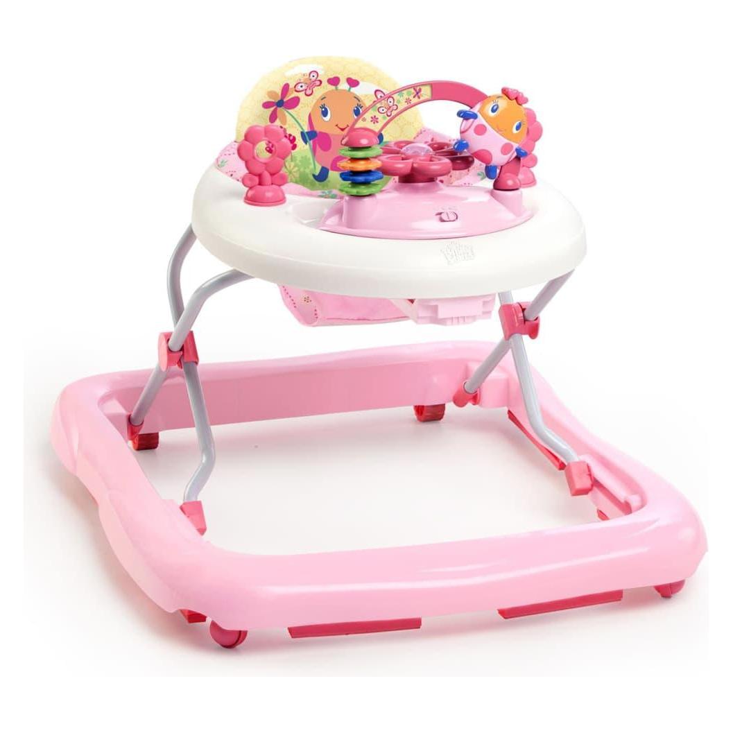 Bright Starts JuneBerry Delight (23445184)
