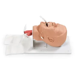 Erwachsenen Intubationstrainer Economy auf Grundplatte