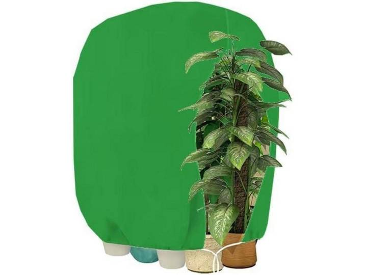 Pflanzenschutzhaube Winterschutz 120 x 140 cm Grün, 10x5x15 cm, Gartenzubehör