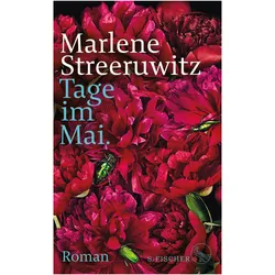 Tage im Mai, Belletristik von Marlene Streeruwitz