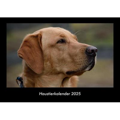 Haustierkalender 2025 Fotokalender DIN A3