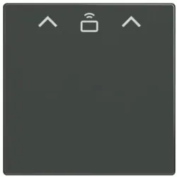 Busch-Jaeger Zent Sch Cardschalter RFID 1792 RFID-81