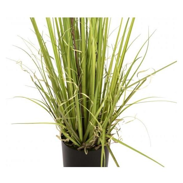 Europalms Immergrünstrauch mit Gras, Kunstpflanze, 182 cm (182 cm) (82600185)