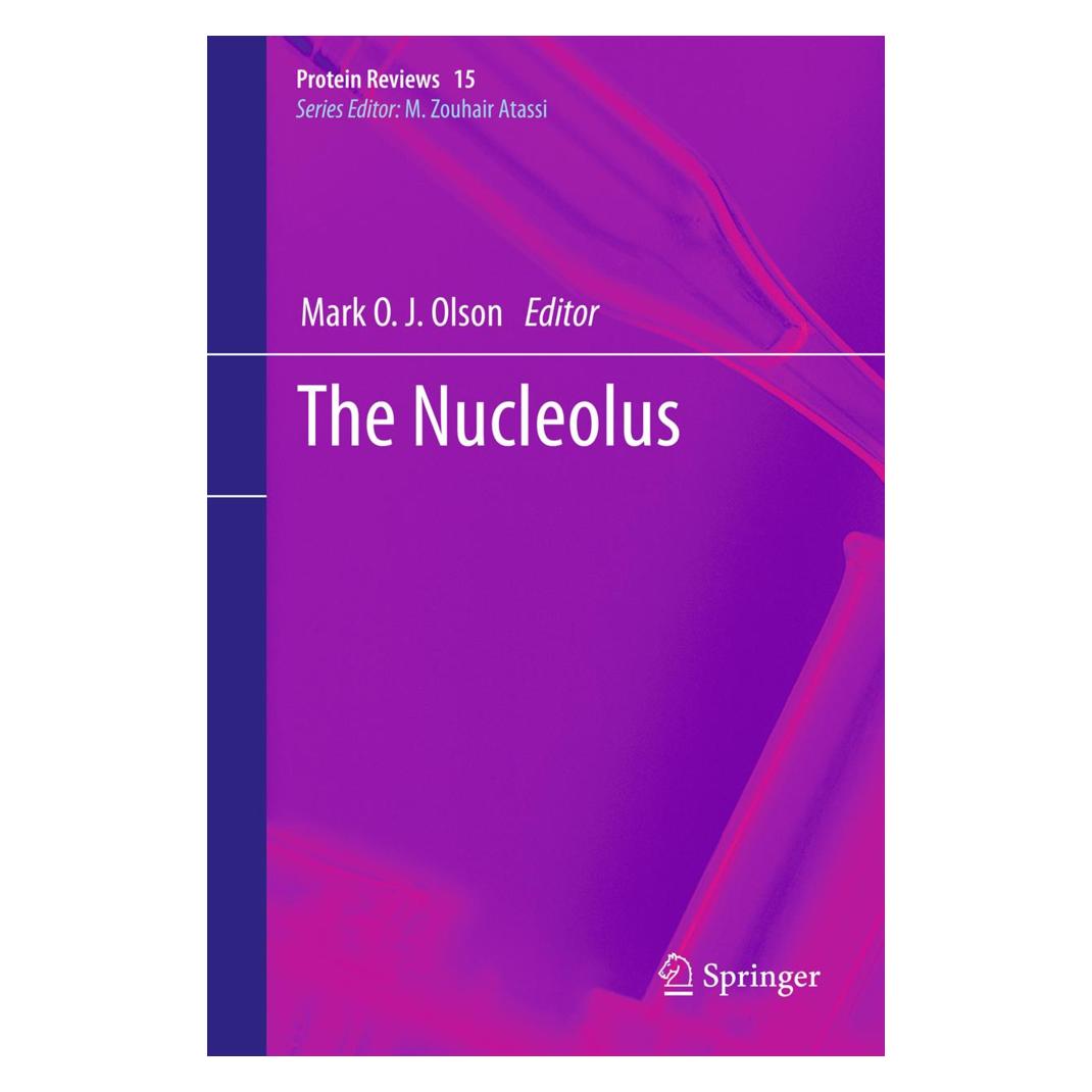 Springer The Nucleolus (Englisch, Softcover, Mark O. J. Olson) (55548433)
