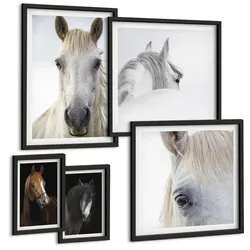 BILDER SET 5er Set - 50x50 cm & 20x30 cm & 40x60 cm Schwarzer Rahmen - Pferdeporträts in Schattierungen