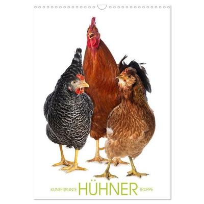 Kunterbunte Hühner Truppe (Wandkalender 2027 DIN A3 hoch), CALVENDO Monatskalender