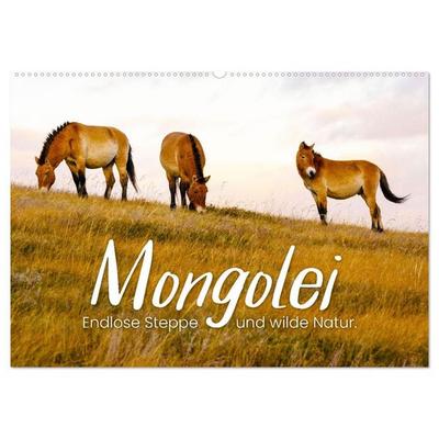Mongolei - Endlose Steppe und wilde Natur. (Wandkalender 2027 DIN A2 quer), CALVENDO Monatskalender