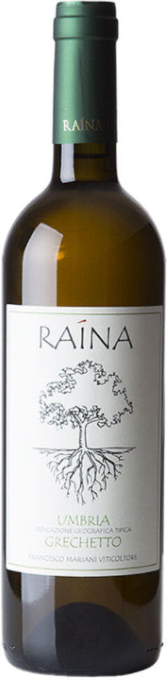 Grechetto Raina 2024