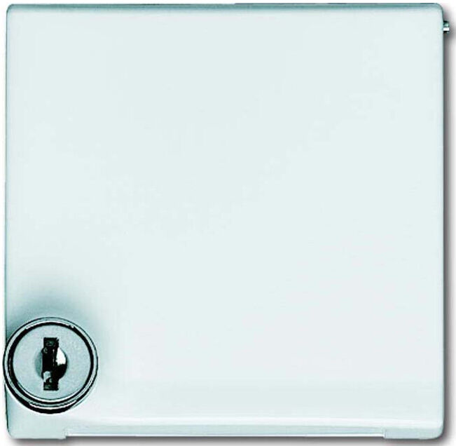 Busch-Jaeger Entretoise aws avec couvercle rabattable 2118 GKSL-34 (2CKA001710A1951)