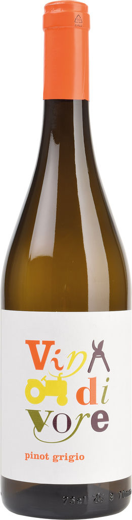 Pinot Grigio DOC Friuli 2024 Ronco del Gelso