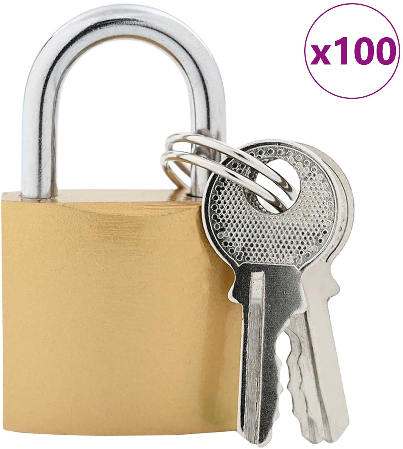 vidaXL U Lock avec Clés 100 pièces Laiton Fer