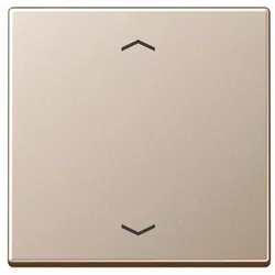 Jung Wippe Symbole Pfeile A 590 P CH A590PCH