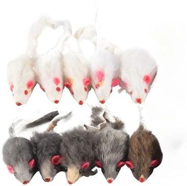 Inspired Living PlayPounce Plush Mouse Cat Toys 10 Pack Interactive Cat Toys For Hunting, Chasing & Indoor Play PlayPounce Plush Mouse Cat Toys 10 Pack Interactive Cat Toys For Hunting, Chasing & Indoor Play