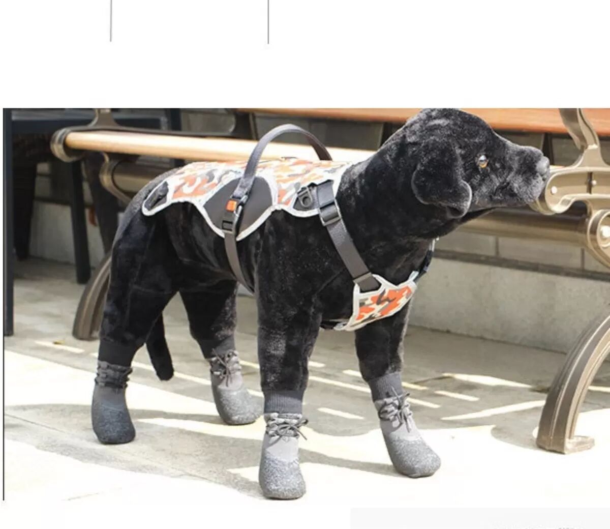 INF Wasserdichte Anti-Rutsch-Hundeschuhe mit Bändern (4er-Set) - Sicherer Pfotenschutz für Draußen S