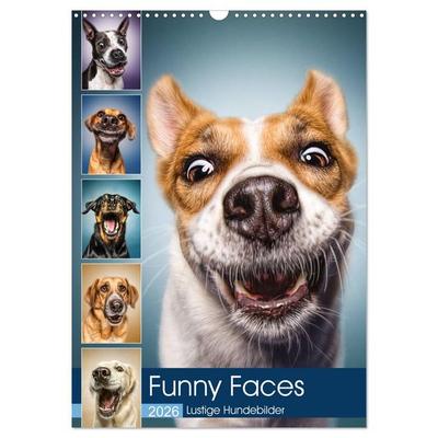 Funny Faces - Lustige Hundebilder (Wandkalender 2026 DIN A3 hoch), CALVENDO Monatskalender