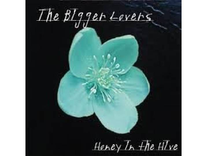 Honey in the Hive