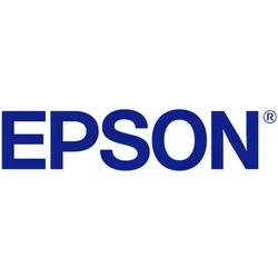 Epson, Druckerpatrone, UltraChrome GS3 Metallic T45LB00 500 ml