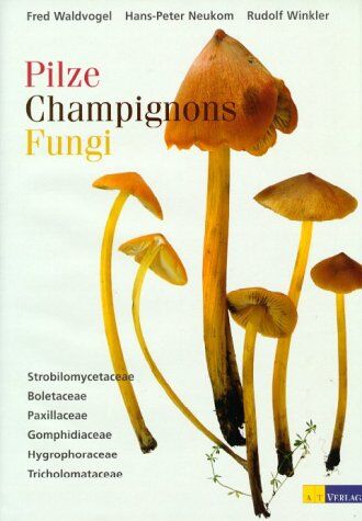Fred Waldvogel - Pilze, Champignons, Fungi, Bd.1, Strobilomycetaceae, Boletaceae, Paxillaceae, Gomphidiaceae, Hygrophoraceae, Tricholomataceae - Preis vom 30.09.2026 22:30:23 h