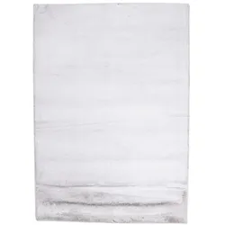 Teppich NUVIRA (BL 80x150 cm) - BL 80x150 cm