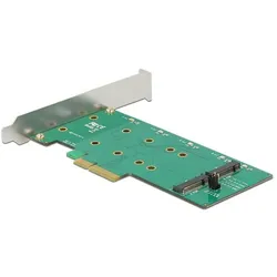 Delock PCIe x1 > 2 x M.2 Key B, Storage Controller
