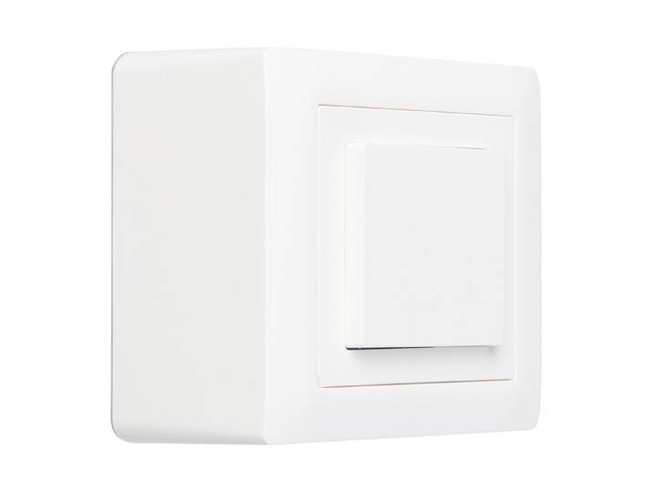 Hager Aufputz-Druckschalter 250 V