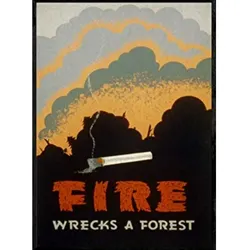 POSTER Feuer Zerstört Den Wald A3 Rahmenlos